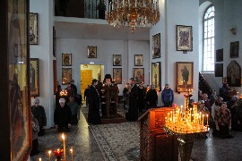 IMG_9009_новый размер.JPG