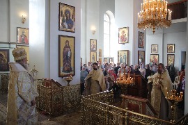 IMG_8746.JPG
