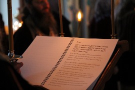 IMG_9216_новый размер.JPG