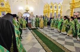 detail20180821-PAL_1765-обр.jpg