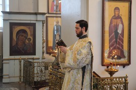 IMG_8662_новый размер.JPG