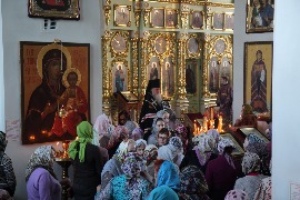 IMG_8909_новый размер.JPG