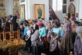 IMG_5662_новый размер.JPG