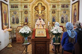 IMG_7969.JPG