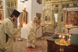 IMG_9304_новый размер.JPG