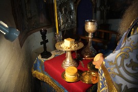 IMG_7498_новый размер.JPG