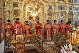 IMG_9381.JPG