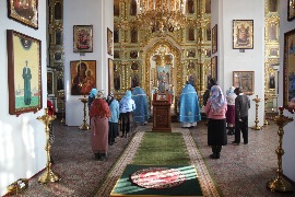 IMG_8374_новый размер.JPG