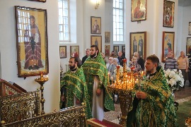 IMG_7098_новый размер.JPG