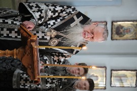 IMG_7116.JPG
