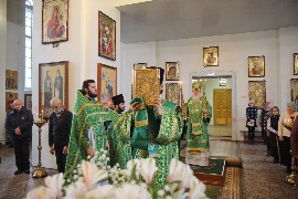 IMG_7031_новый размер.JPG
