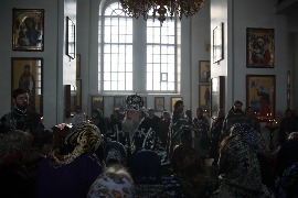 IMG_9737_новый размер.JPG