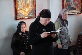 IMG_9014_новый размер.JPG