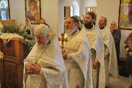 IMG_3686_новый размер.JPG