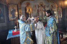 IMG_9587.jpg