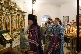 IMG_8882_новый размер.JPG