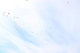 IMG_6474.JPG