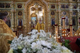 IMG_6736.JPG