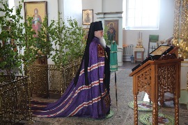 IMG_3560_новый размер.JPG