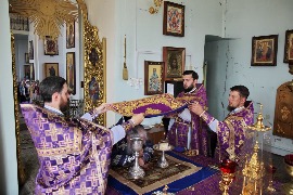 IMG_3084_новый размер.JPG