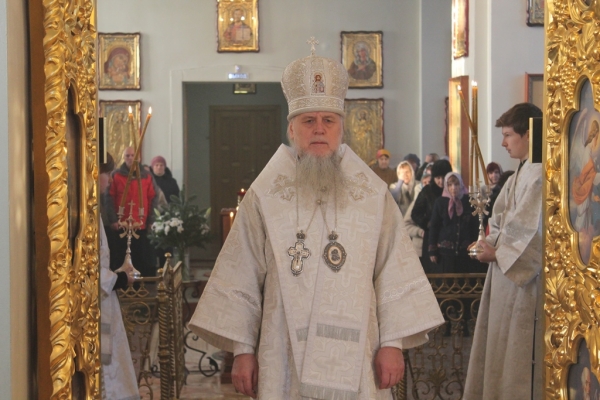 Рождественское послание епископа Котласского и Вельского Василия