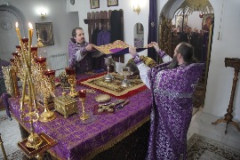 IMG_9866.JPG