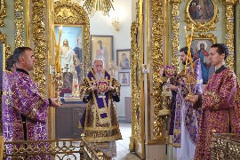 IMG_4203_новый размер.JPG