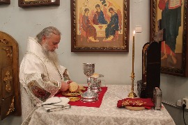 IMG_7817_новый размер.JPG