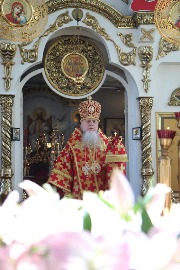 IMG_7761_новый размер.JPG