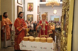 IMG_4422.jpg