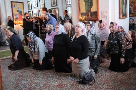 IMG_4730_новый размер.JPG