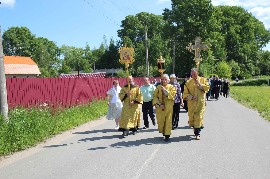 IMG_6981.jpg