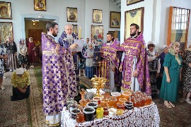 IMG_3102_новый размер.JPG