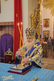 IMG_2264_новый размер.JPG