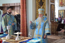 IMG_8993.JPG