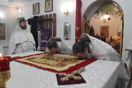IMG_8033_новый размер.JPG