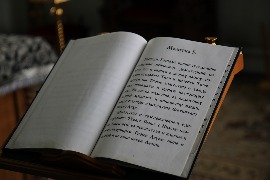 IMG_9136_новый размер.JPG