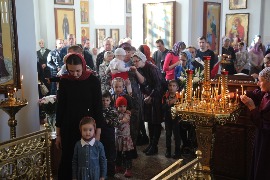 IMG_9339.JPG