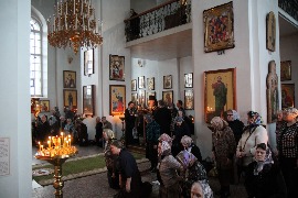 IMG_5034_новый размер.JPG