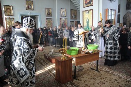 IMG_9696_новый размер.JPG