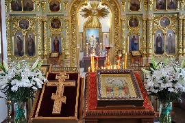 IMG_4182_новый размер.JPG