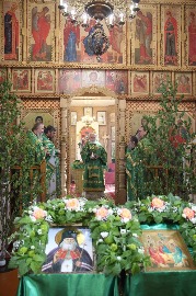IMG_6675.jpg