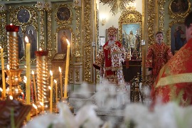 IMG_3100_новый размер.JPG