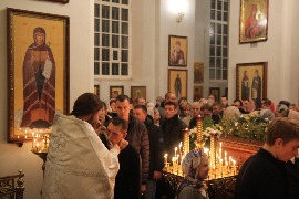 IMG_2723_новый размер.JPG