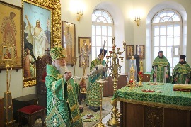 IMG_7041_новый размер.JPG