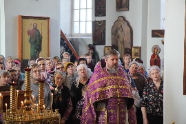 IMG_5651_новый размер.JPG