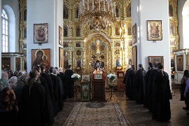 IMG_8813_новый размер.JPG