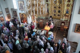 IMG_8897_новый размер.JPG
