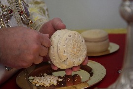 IMG_0925_новый размер.JPG