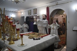 IMG_2795_новый размер.JPG
